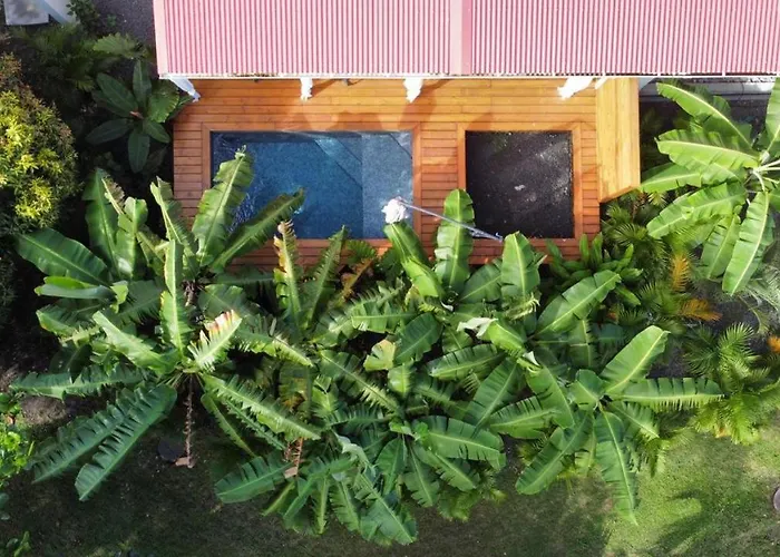 Le Jardin De La Tortue Verte