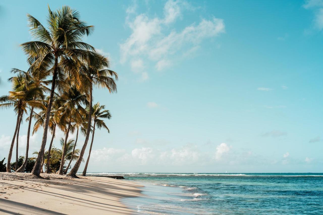Hébergement de vacances Le Jardin De La Tortue Verte Sainte-Anne (Grande-Terre)