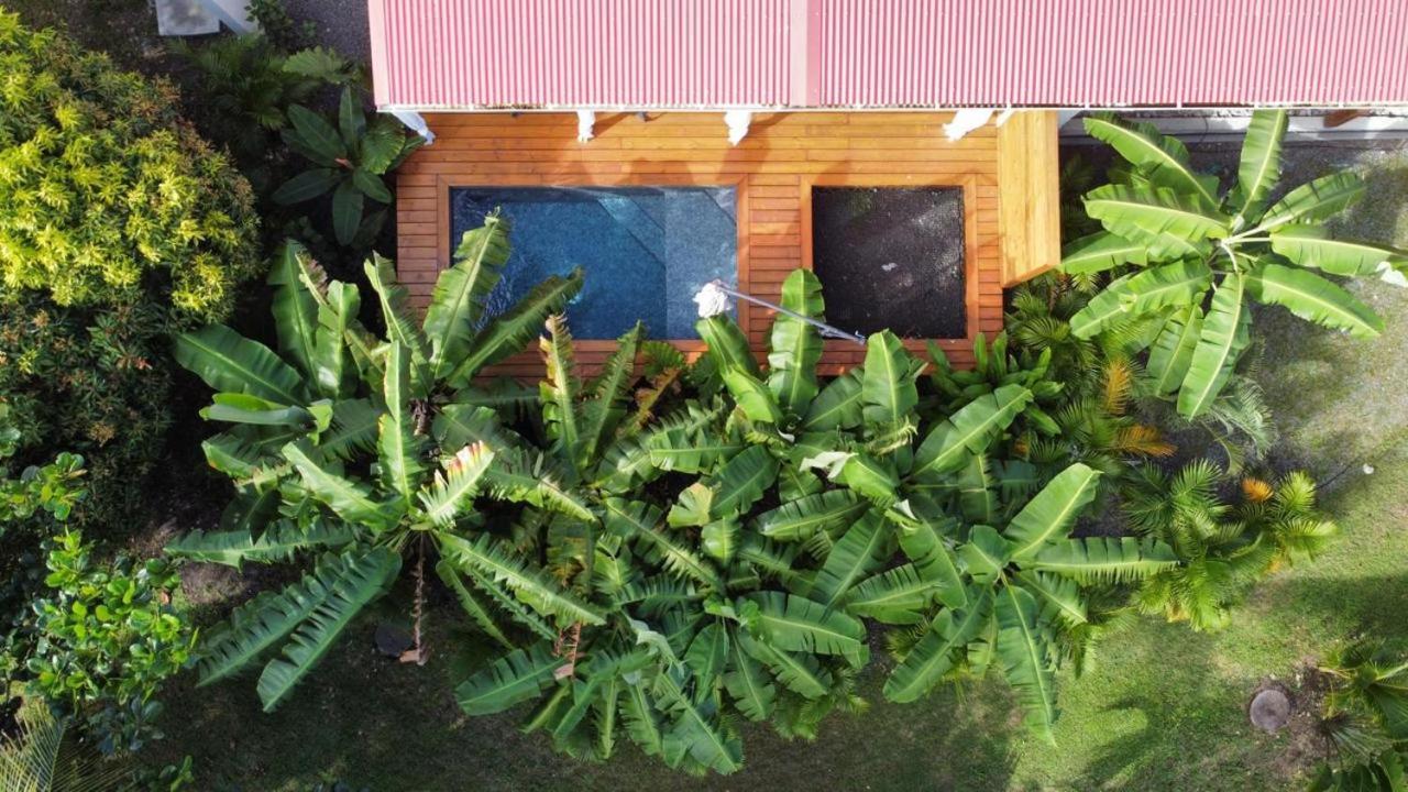 Le Jardin De La Tortue Verte Hébergement de vacances