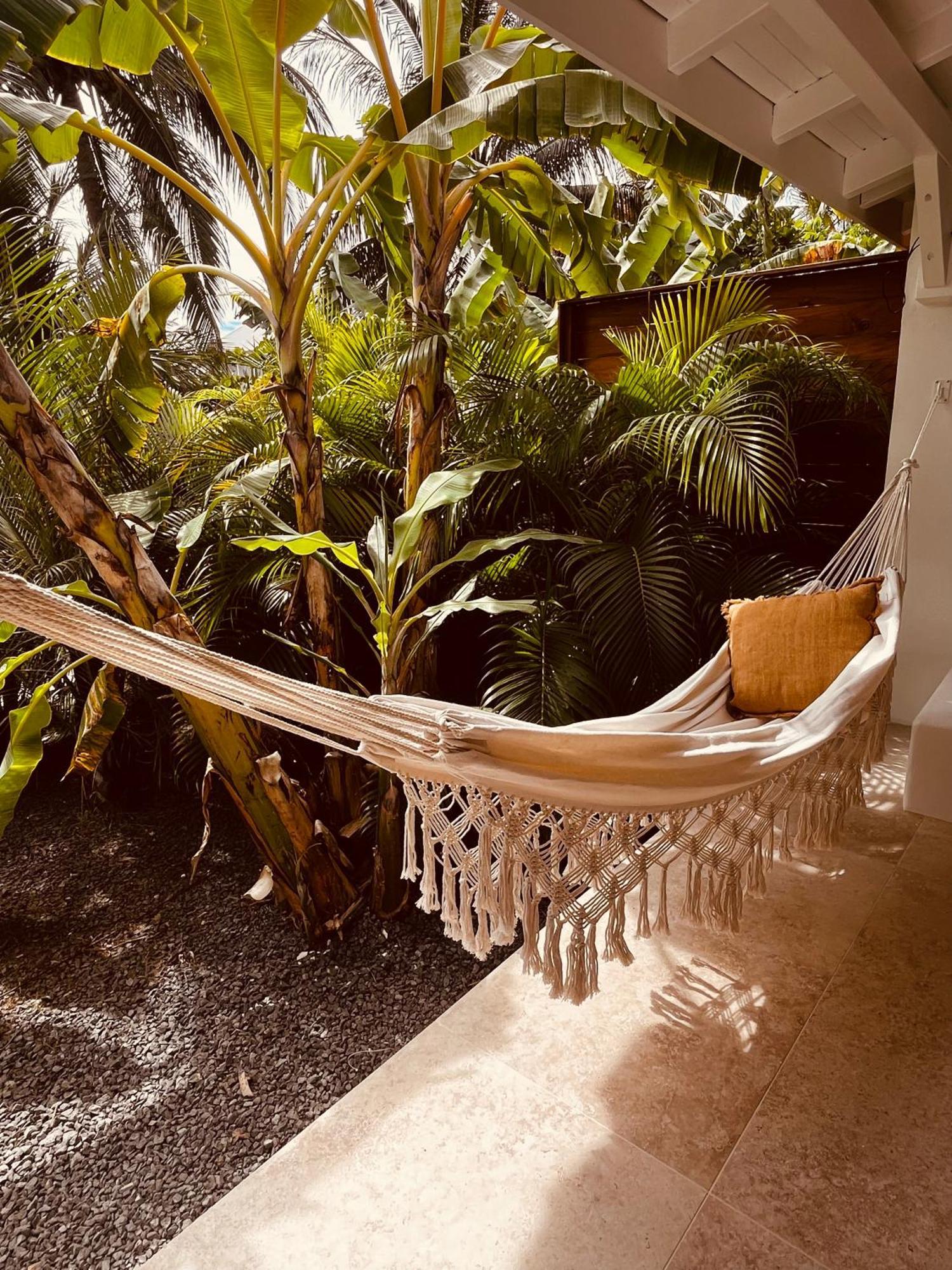 Le Jardin De La Tortue Verte Hébergement de vacances Sainte-Anne (Grande-Terre)