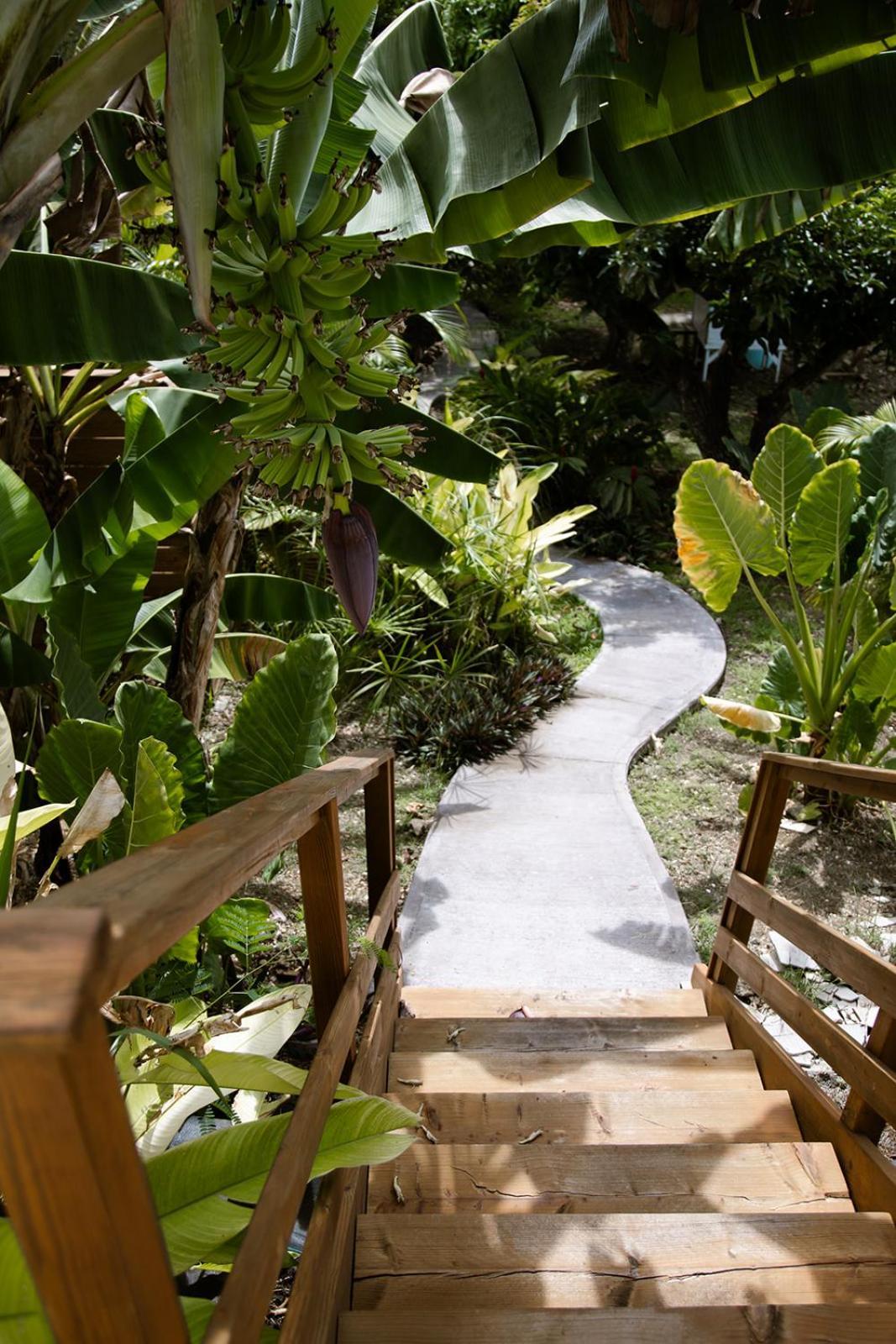 Hébergement de vacances Le Jardin De La Tortue Verte *