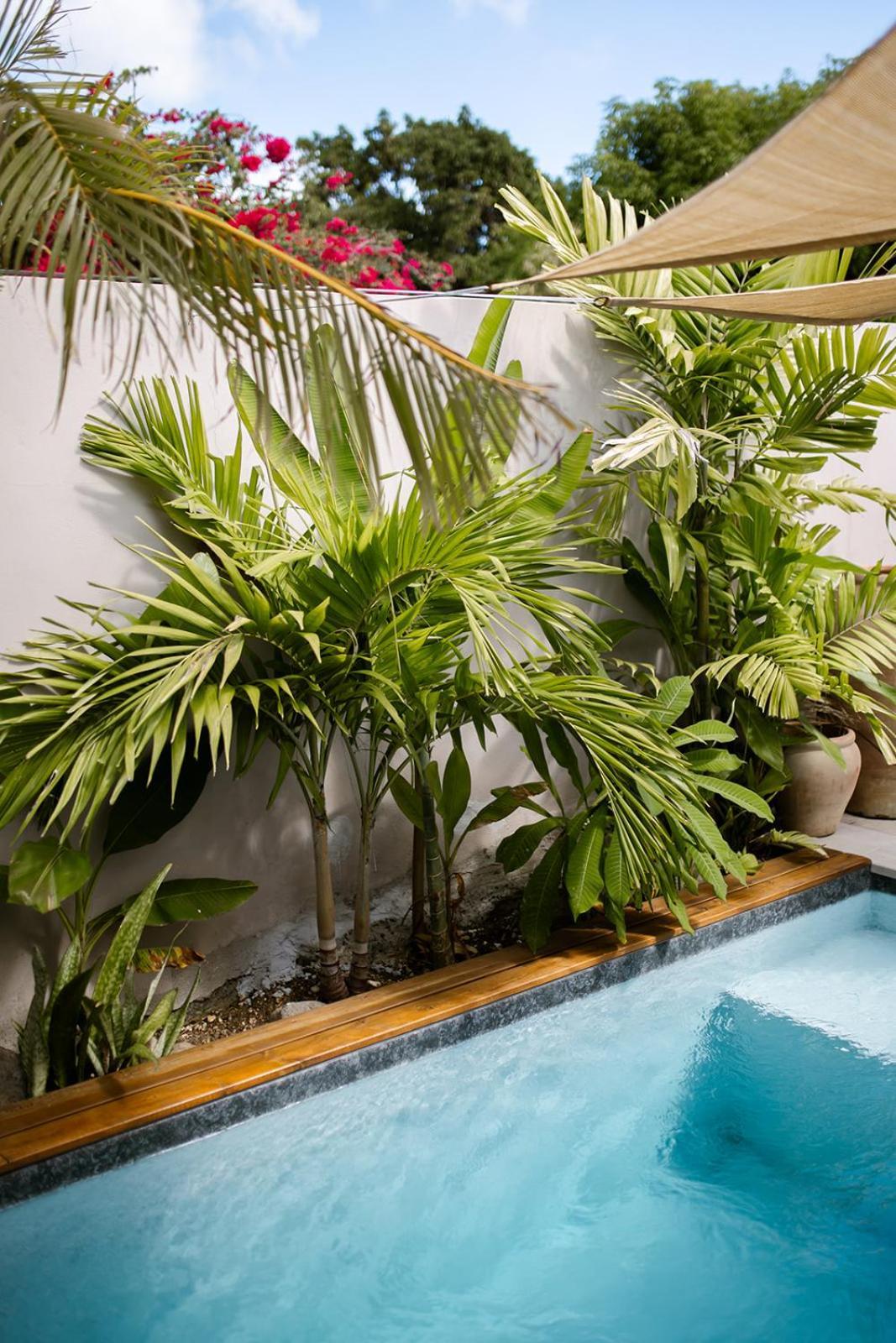 Le Jardin De La Tortue Verte Hébergement de vacances Sainte-Anne (Grande-Terre)