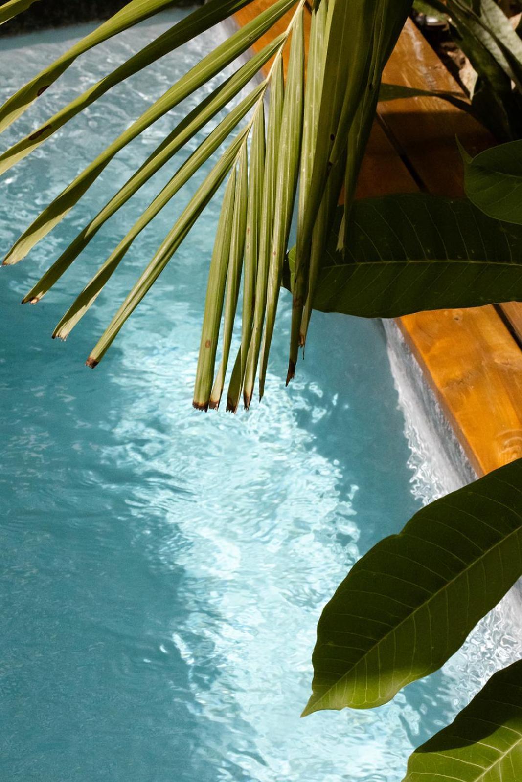 Hébergement de vacances Le Jardin De La Tortue Verte Sainte-Anne (Grande-Terre)